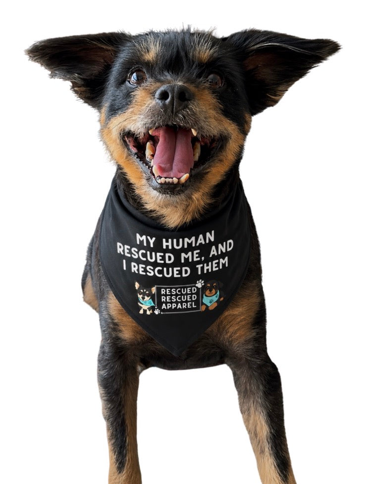 Dog Bandana