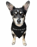 Dog Bandana