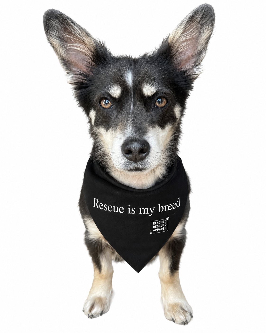 Dog Bandana